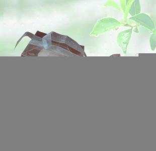 微波爐專用蒸蛋器 家庭廚具的新選擇